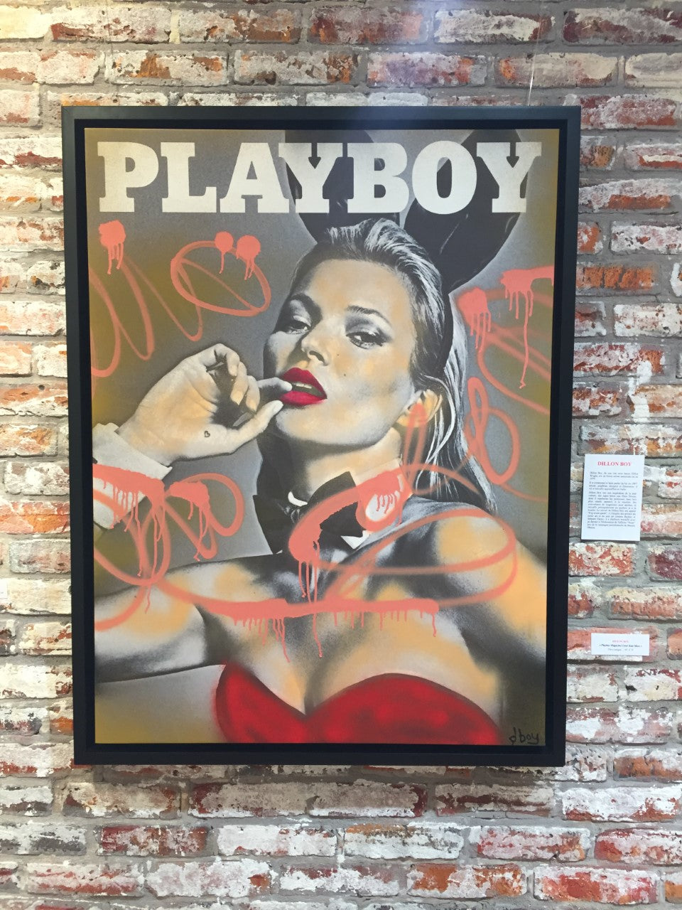 tableau-playboy-magazine-cover-dillon-boy